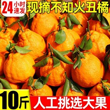 丑橘丑八怪10斤当季新鲜水果橘子薄皮耙耙粑粑丑柑丑橘整箱桔子