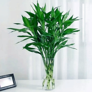 ���F��ˮ��ֲ��͏d�аlؔ���ӹ����߾G�}�Gֲ���Ի���ֲ���҃Ȼ�