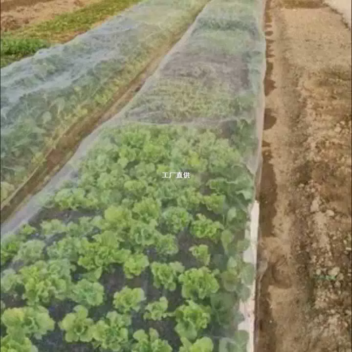 Оптовая продажа овощных насекомых-защищенных теплиц Садовый сад Свинья Ферма мухозащищенная Пчеловодство огород марлевая сетка Зеленая Сетка для защиты овощей Сетчатое покрытие