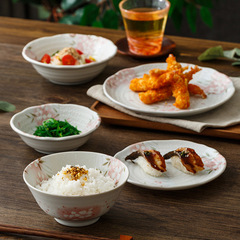 日本進口 美濃燒垂枝雨櫻 釉下彩米飯碗盤子餐具套裝陶瓷平盤餐盤