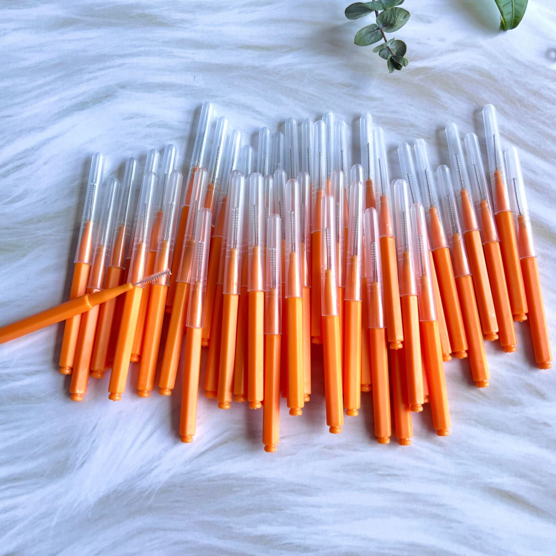 微信图片_20240415094848