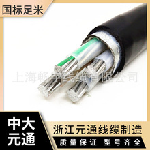 ZB-YJLHV32䓽z�z�b��ȼ�X�Ͻ������|3*70+1*35ƽ�� �����ľ�