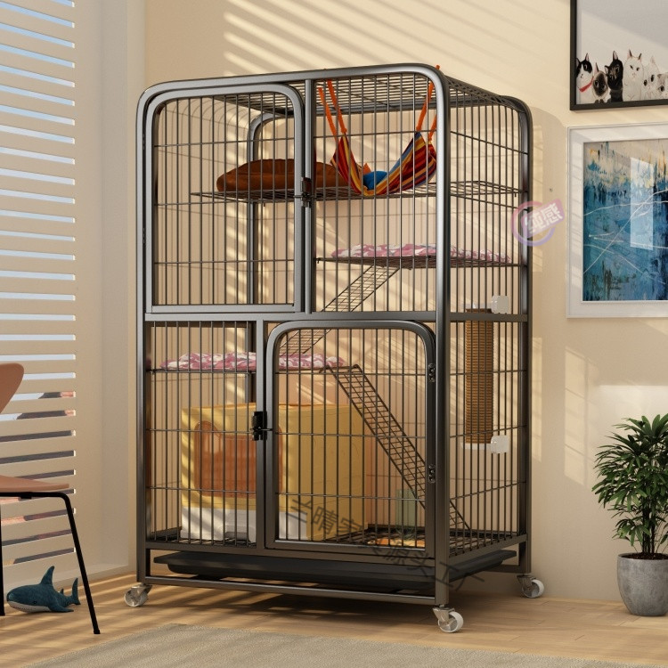 9ece4f70-0748-43aa-aace-3988bd8e216a.jpe