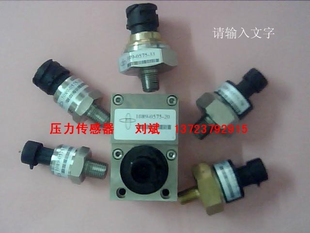 马泰压力传感器ERC2022-2075 19