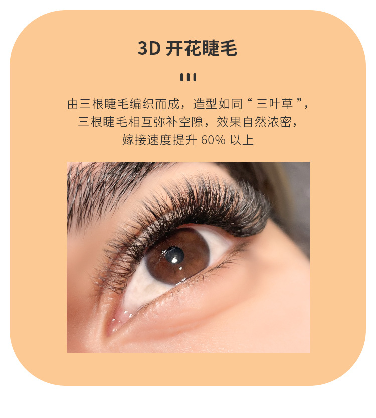 三叶草嫁接睫毛