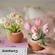 �羳����������ż�hᘲ��ϰ�ë���F�h��ֲ���ֹ�diy�}�Q�Y����E18