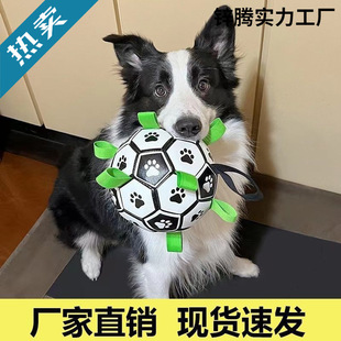 ��߹�����ҧ�␞�»�ȮС����Ȯ���ӌ�������l���l���羳