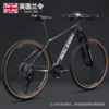 Discoloration Gray-33 Speed-Oil Disc