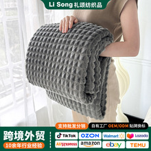 跨境希音/TK/Ozon绒毯抽条剪花仿兔毛牛奶绒毯法兰绒盖毯外贸批发