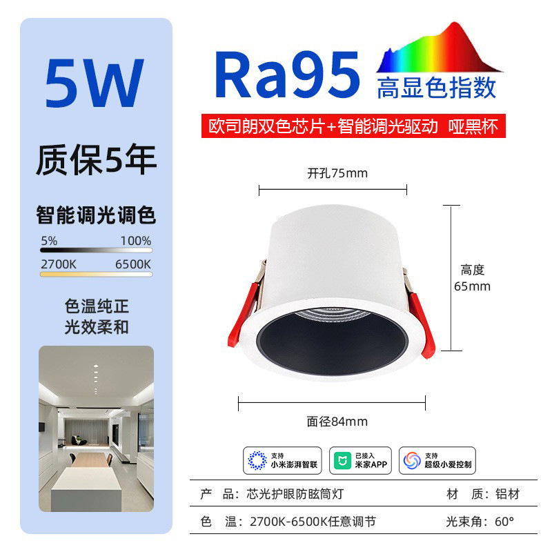 5w matte black connected⼊⽶Home app