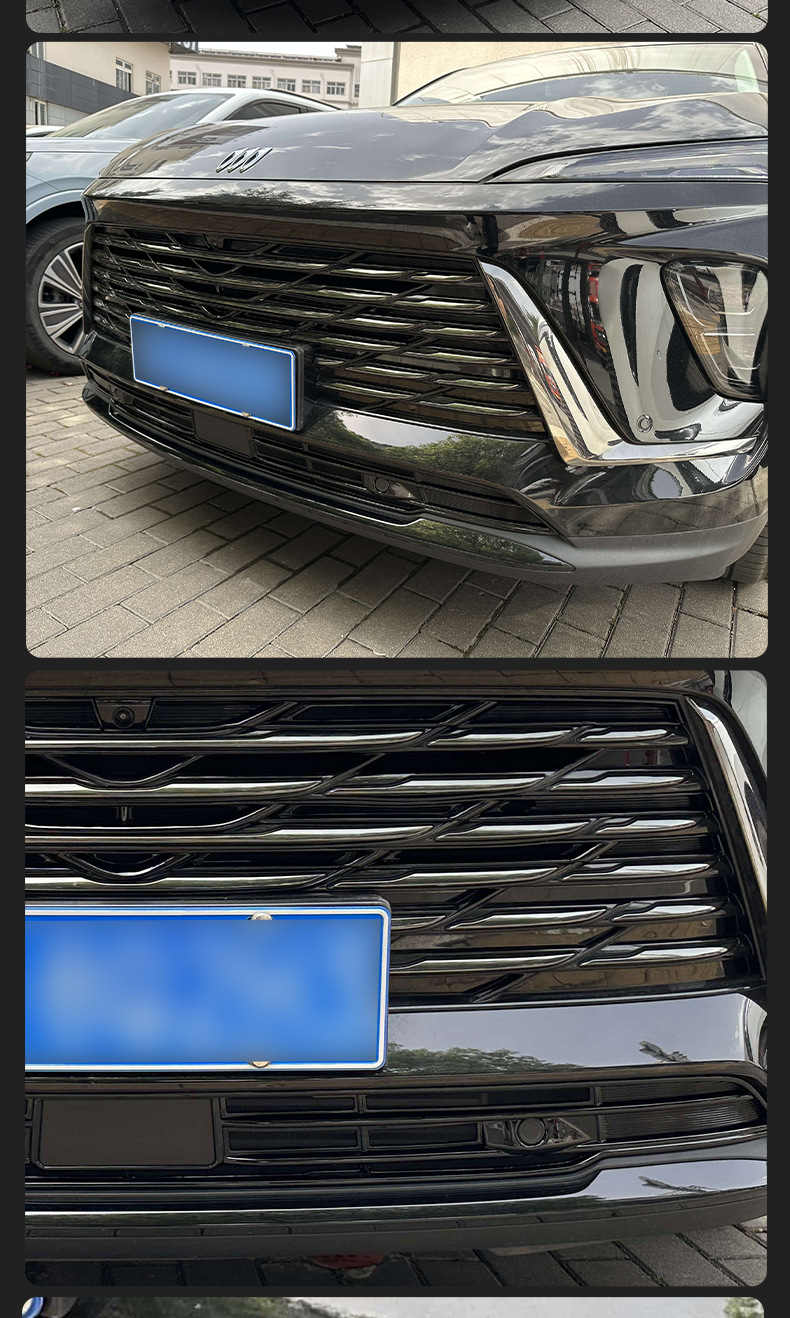 Buick Envision PLUS anti-insect net, grille and radiator protection, anti-catnip, special snap-on car modification accessory