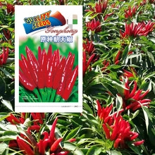 ߲NʽNཷ콷ݽ߲˻ԾļN