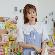 蕾丝花边小披肩女斗篷夏季白色防晒配裙子蝴蝶结绑带假领子跨境厂家批发