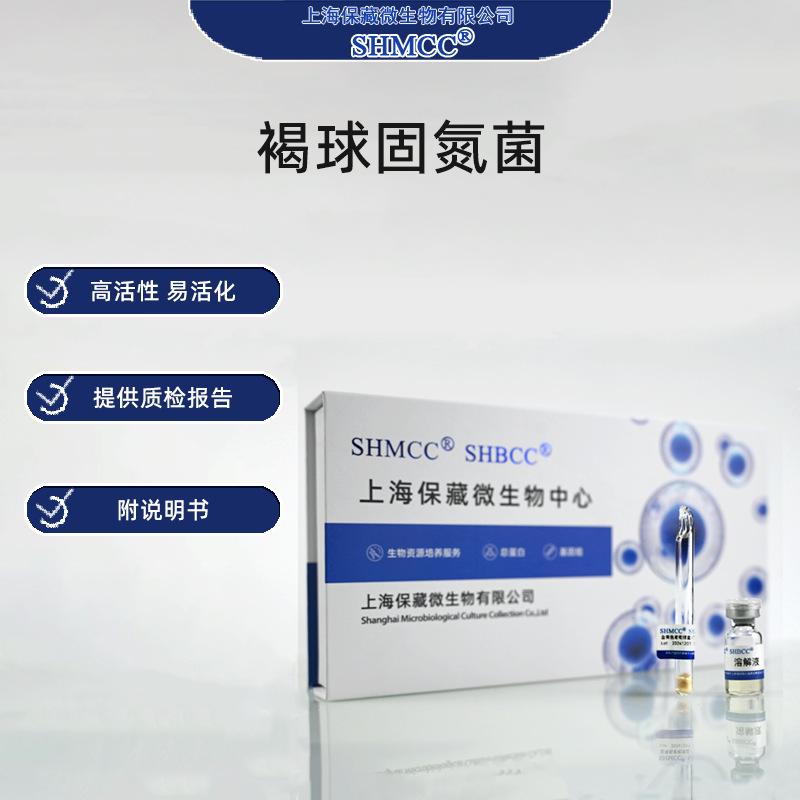 褐球固氮菌ACCC10096 微生物菌肥 生物肥料 农业增产 上海保藏