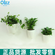 �F؛����ڒ컨��젝���蠝�����w�b�ʽ����G�}�������˻���