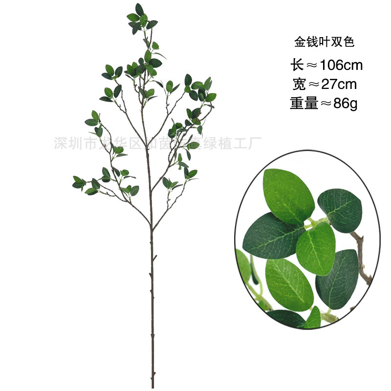 仿真植物树枝仿真绿植装饰金钱叶假花榕树叶米兰仔仿真花场景布置|undefined