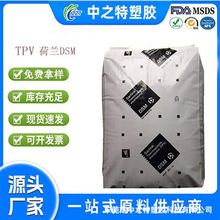 DSM TPV ��܇���� ܇���ܷ�l���������ͺ���ԭ��