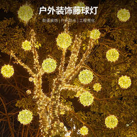 led挂树藤球灯遥控调节户外氛围圆球彩灯节日满天星挂件彩灯灯串