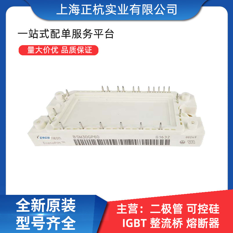 BSM30GP60 正杭实业 igbt 功率模块 全新原装 电子元器件