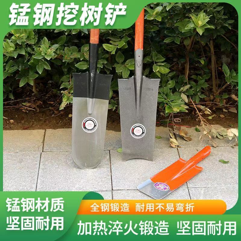 农用加长挖树锹锰钢加厚淬火山药全钢挖洞铲子挖沟挖土铁锨移苗铲