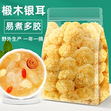 �ľ�y����؛��Ş��С�y����Ұ��Ŵѩ���״�ѩ�����z