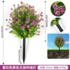 Purple Camellia Eucalyptus Ground Nails