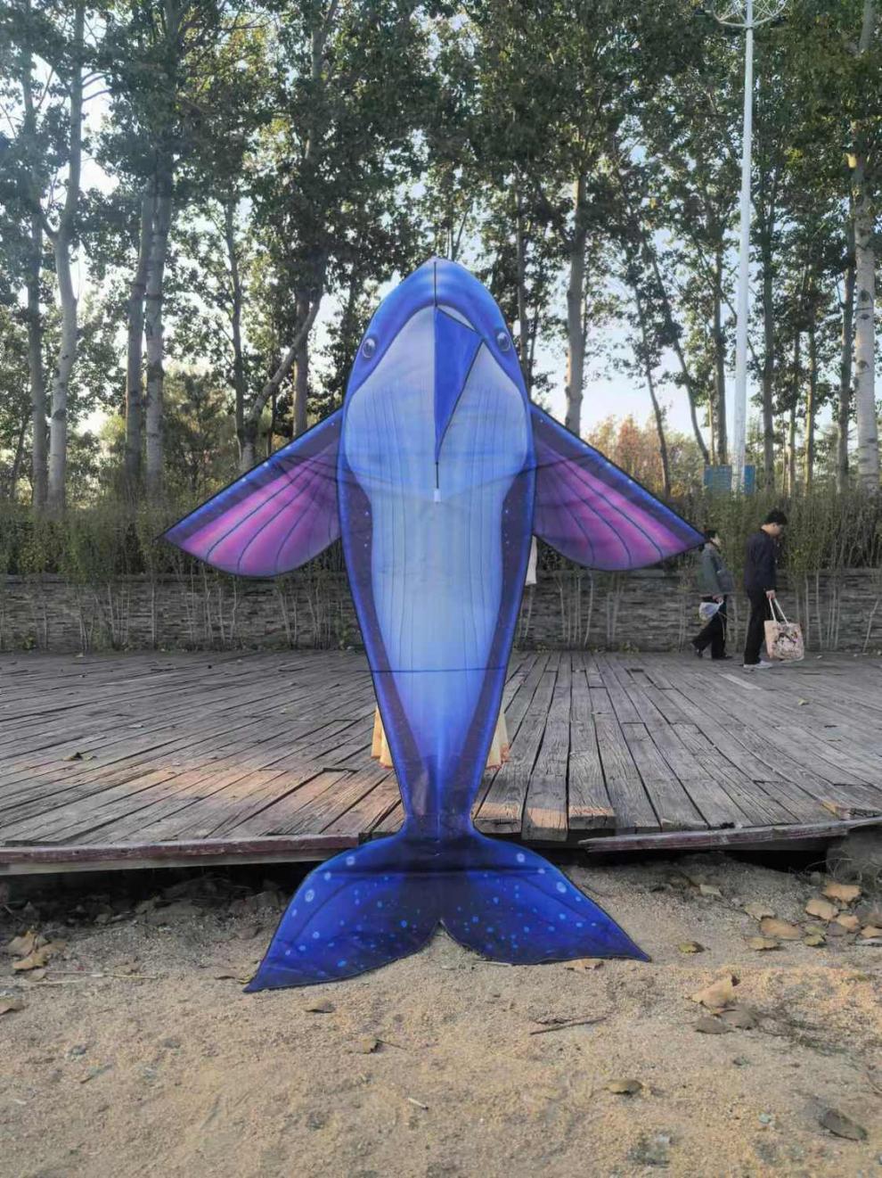 c9e448c9-b994-435b-a56e-9ec38bf50c33.jpe