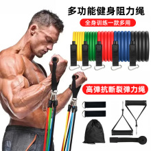 TPE带标11件套装拉力器登山扣多功能拉力绳阻力带葫芦钩家用健身