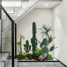 �����������쾰����ֲ�����Է���Gֲ�҃Ⱦ��^ֲ���b������쾰