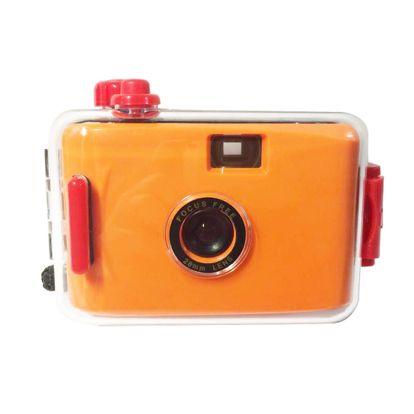 Orange red shell