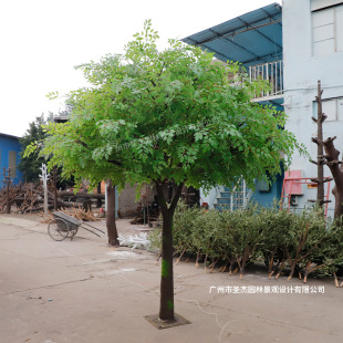 ܘƵꙻ҃̈٘䲼þ^ ֲS