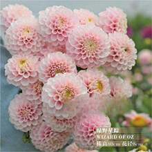 ���m���ܴ������عϻ��N���������������_��������