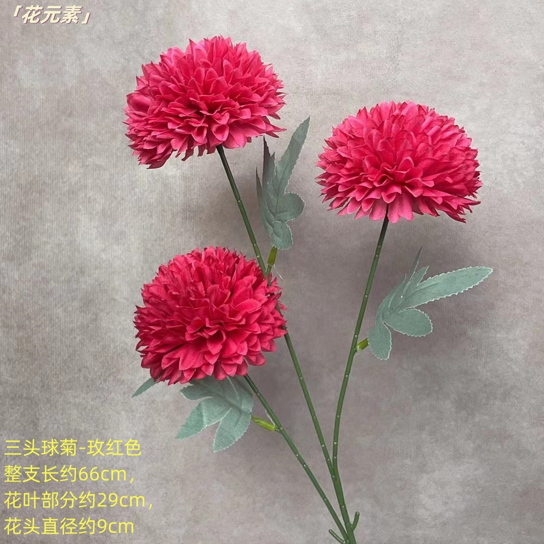 로즈 레드