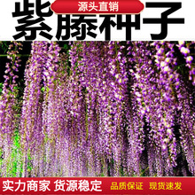 �໨���ٷN�� �����辰 �·N�ӾG���е���ľ��ľ��N�� ����ֲ��