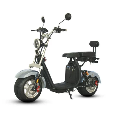 Brazilian Hot-Selling Eec Dot Adult Mobility Scooter Two-Wheeled Motorcycle Harley Electric Vehicle M3 Direct Shipment from Brazil Warehouse (Elektrikli motosikletlər)