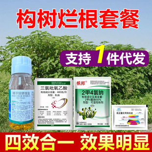 ���䠀���ײ�ҊЧ���s�ݹ�ľ�����٠������������������rș���݄�