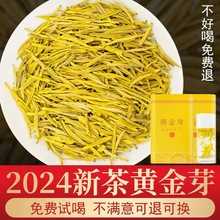 黄金芽茶叶2024年新茶雨前吉安茶树白茶高山绿茶礼盒罐装