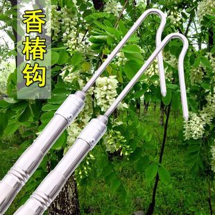 Toon hook stainless steel locust flower rod multifunctional telescopic rod Toon rod sickle rod high altitude fruit picker telescopic other