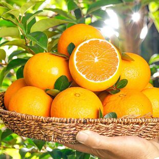 �Ĵ�����38̖��������S�ք��������r�����ЋDˮ����������
