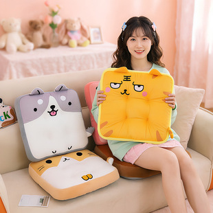 ��ͨ�����ļ�ͨ�����|����͸��W���k���Ҿ������Ӊ|ë�q������l