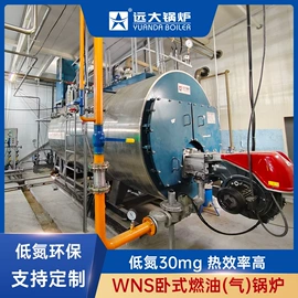 燃气锅炉;燃油锅炉;燃生物质锅炉