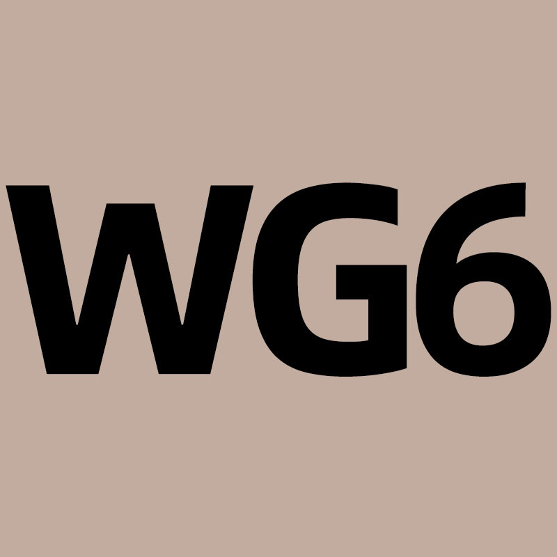 WG6