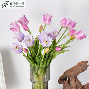 �����ָ�ܛ�z��������滨 �羳���N5�^����������ҾӔ[�����滨