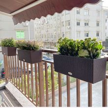 �̨���@���ÙڗU��ʽ����Ғ�N������ܻ����L���λ��仨�@ɭ��