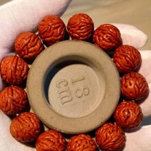 【严选秦岭野生打底龙纹桃核】秦岭野生金鱼肚玉化桃核手串