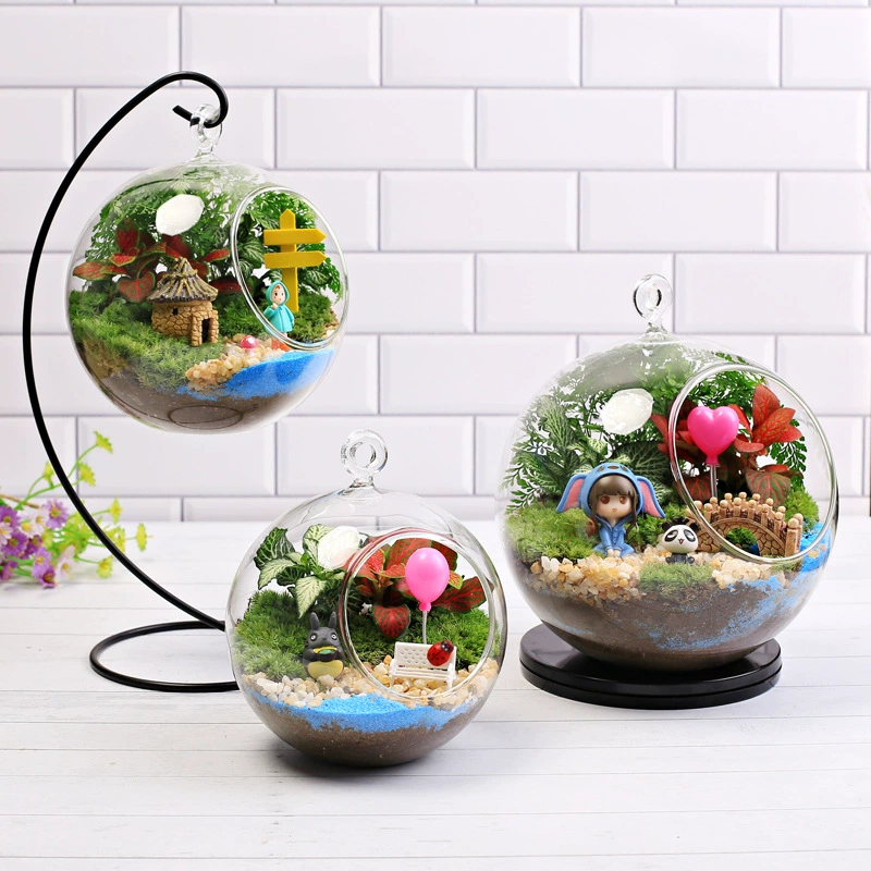 Микро пейзаж экологическая бутылка суккулент DIY материал стекло в горшке гидропонная ваза висит бутылка висит мяч