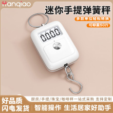 迷你手提电子秤高精度小型便携式吊秤弹簧秤家用钩称随身小秤数码