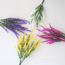 ޹²ݷ@bGֲbϻ滨ֲԻl