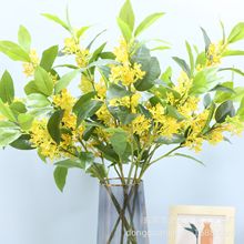 18�^�����֦ ����@���쾰�ٻ���֧��֦�廨����Gֲ�b��~