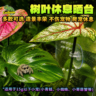 �ӏ����P�����ľ�з���~��Ϣ��̨��̨���~������ˮ���쾰�،m����